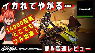 【ZX25R】コレ公道で走っていいの？一回見てから考えて欲しい【KawasakiカワサキNINJAニンジャZX25R】 [upl. by Ecertak]