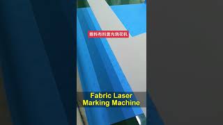 Efficient Roll Fabric Laser Burning with CO2 Laser Marking Machine – Large Format Processing laser [upl. by Anairotciv]