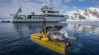 The Deepest Dive in Antarctica Reveals a Sea Floor Teeming With Life [upl. by Kenti473]