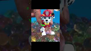 Rescatando a Paw Patrol de Pelotitas de Colores  Juegos para Niños  Videos Infantiles [upl. by Ipoillak182]