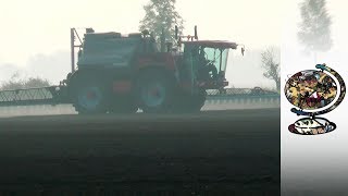 Glyphosate Monsantos Latest Scandal [upl. by Oigimer877]