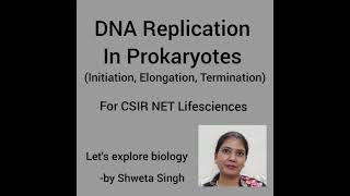 DNA Replication in Prokaryotes Initiation Elongation Termination Molecular Biology [upl. by Atela]