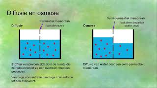 Endocytose exocytose diffusie osmose actief en passief transport  Transport in en uit cellen [upl. by Aleakam]