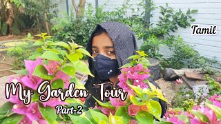 My Garden Tour🌻 Part2 Clusterofstars tamil  my fav plants [upl. by Stefan]