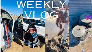 WEEKLY VLOG UMBONGO WAM MY THANKSGIVING CEREMONY [upl. by Lennon]