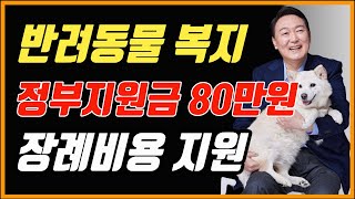 국가지원금으로 반려동물 병원비 해결하세요 80만원까지 지원합니다 입양해도 지원받고 장례식 비용도 지원해줍니다서울시 지원금 경기도 지원금 광주 지원금 반려동물 입양지원금 [upl. by Nitin586]