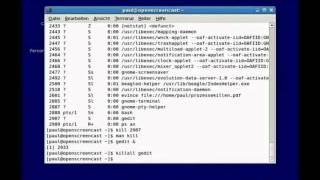 Linux  Prozesse killen [upl. by Nenerb310]
