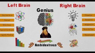 How To Become A Genius Part 2 Think Like The Vinci Book Review [upl. by Anirod808]