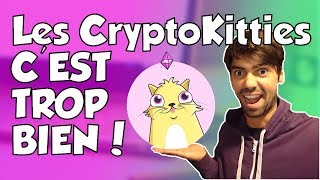 Les CRYPTOKITTIES Cest TROP BIEN  jeu blockchain  ContrAddiction 10 [upl. by Ambrosia]