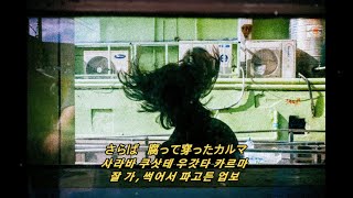 네가 생각하는 것보다도 세상은  RADWIMPS  Hyperventilation 가사해석번역lyrics [upl. by Smeaj]