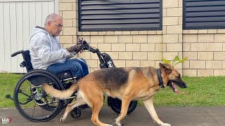 Running the dogs with your Wheelchair and Triride by MaxAbility [upl. by Weeks]