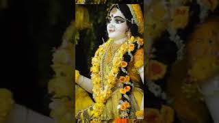 Radha Rani 🌹🙏💖radhakrishna youtubeshorts [upl. by Carolynne799]