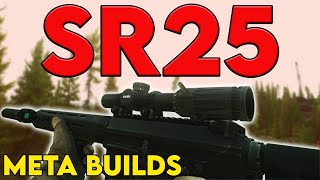 SR25  Meta Build Series 015 [upl. by Oine360]