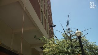 People rappel down building as part of fundraiser [upl. by Levitt495]