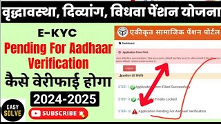 vridha pension vidhwa pension viklang pension new apply Aadhar pending problem solve 202425 [upl. by Assirol462]