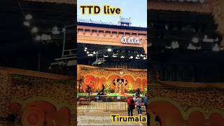 TTD live  ttd tirupati tirumala tirupathi trending govinda shorts short goviral bbc god [upl. by Isewk]