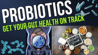 Probiotics and Overall Health  Understanding Probiotics How Good Bacteria Counterbalance the Bad [upl. by Neivad]