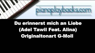 Du erinnerst mich an Liebe Adil Tawil Alina Cover Playback Instrumental Demo Originaltonart HMoll [upl. by Asaph]