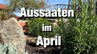 Meine Aussaaten im April Tomatensorten Süßkartoffel eintopfen [upl. by Jocelyne914]