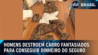 Homens se vestem de urso para destruir carro e conseguir dinheiro do seguro  SBT Brasil 151124 [upl. by Eelyahs860]