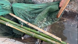 Lift fishing gear to get fish snakes and turtles [upl. by Banerjee]