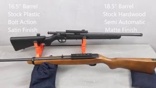 Watch This Video Ruger 1022 and Savage FVSR Review [upl. by Magnien309]