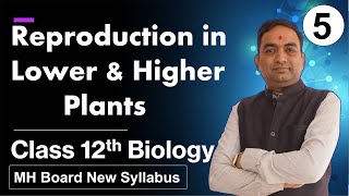 Reproduction in Lower and Higher Plants Class 12th Biology Part 5 [upl. by Nolra46]