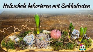 Holzschale dekorieren mit Sukkulenten  Frühlingsdeko selber machen [upl. by Avril]