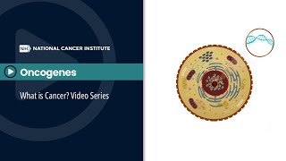 Oncogenes What is Cancer Video Series [upl. by Llewon111]