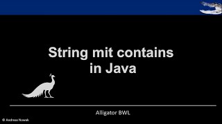 String mit containsMethode in Java [upl. by Mallis]