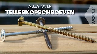 Welke houtschroeven kiezen voor een overkapping  Tellerkopschroeven RVS en Verzinkt [upl. by Cardew]