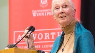 Axworthy Lecture Jane Goodall Sept 11 2015 [upl. by Allesiram]