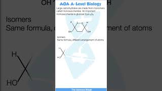 AQA A Level Biology  Biological Molecules  Glucose and Isomers [upl. by Esoryram]