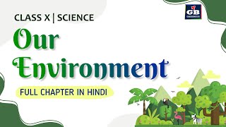 Our Environment FULL CHAPTER IN HINDI  CBSE Class 10 Biology Explanation  ecosystem  NCERT [upl. by Piggy]