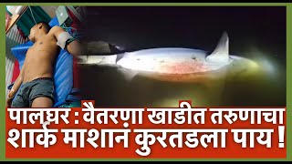 पालघर  वैतरणा खाडीत तरुणाचा शार्क माशानं कुरतडला पाय  bull shark attack in palghar [upl. by Annaiuq]