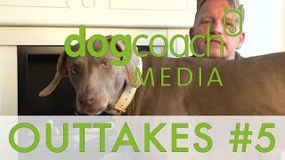 DogCoach Media  OUTTAKES 5 [upl. by Alabaster696]