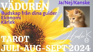 Väduren ♈ JuliAugustiSeptember 2024 Tarot  Healer K [upl. by Eindys561]