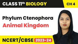 Phylum Ctenophora  Animal Kingdom  Class 11 Biology Chapter 4  CBSE [upl. by Sculley37]