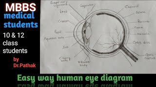 How to draw human Eye diagram step by step for ExamEasy way human Eye drawing for beginners [upl. by Maya]