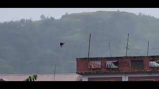 Typhoon Carina sa Brgy Poblacion La Trinidad Benguet [upl. by Cochrane]