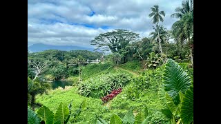 Kaua’i Hindu Monastery [upl. by Lazaruk]