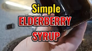 The EASIEST elderberry syrup [upl. by Ennoirb]