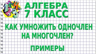 КАК УМНОЖИТЬ ОДНОЧЛЕН НА МНОГОЧЛЕН Примеры  АЛГЕБРА 7 класс [upl. by Hgalehs]