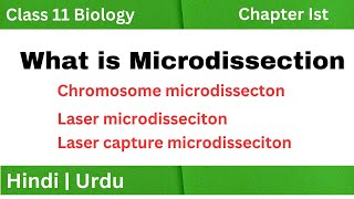 What is Microdissection  Chromosome microdissection  Laser microdissection [upl. by Limaj]