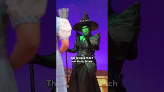 Audiences LOVE The Wizard of Oz Part 3  theatre sgtheatre [upl. by Adiaros292]