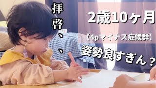 【4pマイナス症候群】ピナちゃんに色鉛筆を渡すとカオスでした。 [upl. by Yttap]