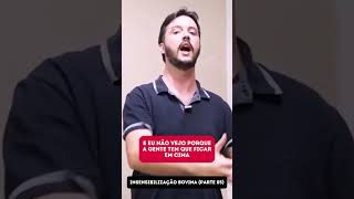 Insensibilização Bovina parte 05 carcaça [upl. by Ahusoj632]