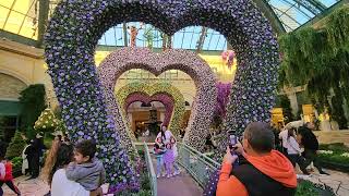 Touring the inside of Bellagio casino Las Vegas [upl. by Doloritas78]