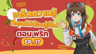 เกร็ดความรู้ที่คุณไม่ต้องรู้ก็ได้ EP 17 พริก SaenD แสนดีเอไอ แสนดี น้ำพริก พริกแกง [upl. by Aileahcim959]