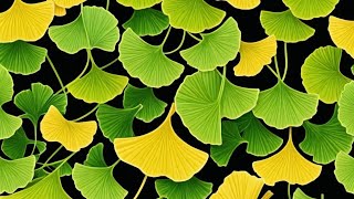 Ginkgo Biloba and its amazing benefits for health 🌿 [upl. by Arikihs]